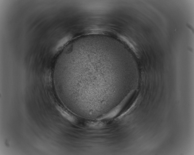 X0000097781403200803071339