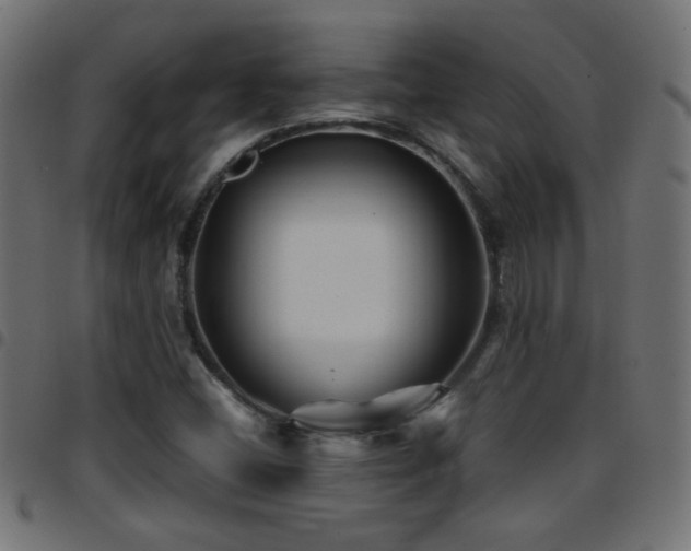 X0000097781404200803071339