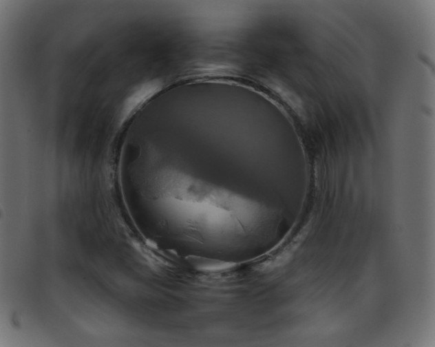X0000097781405200803071339