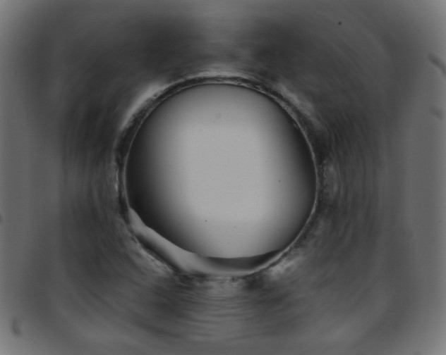 X0000097781408200803071339