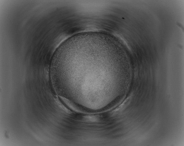 X0000097781409200803071339