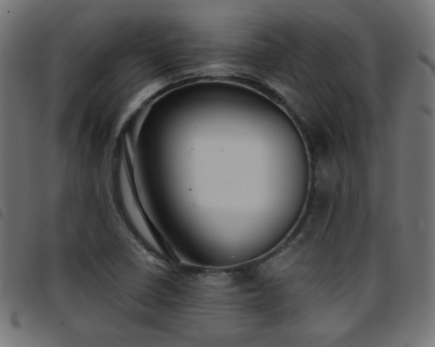 X0000097781410200803071339