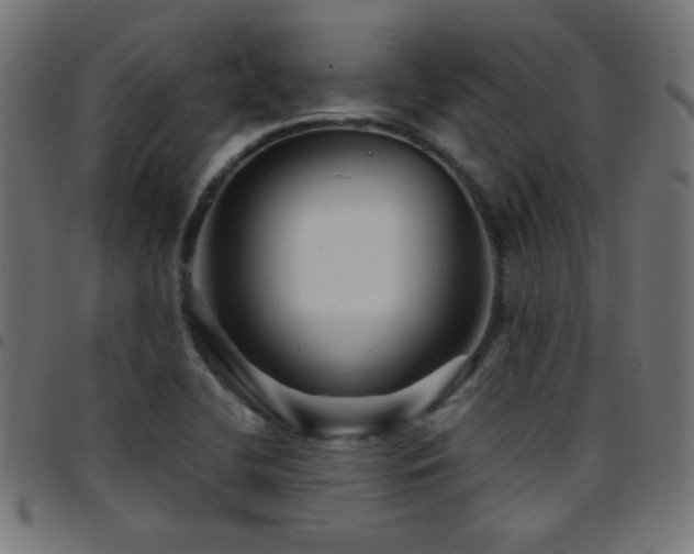 X0000097781412200803071339