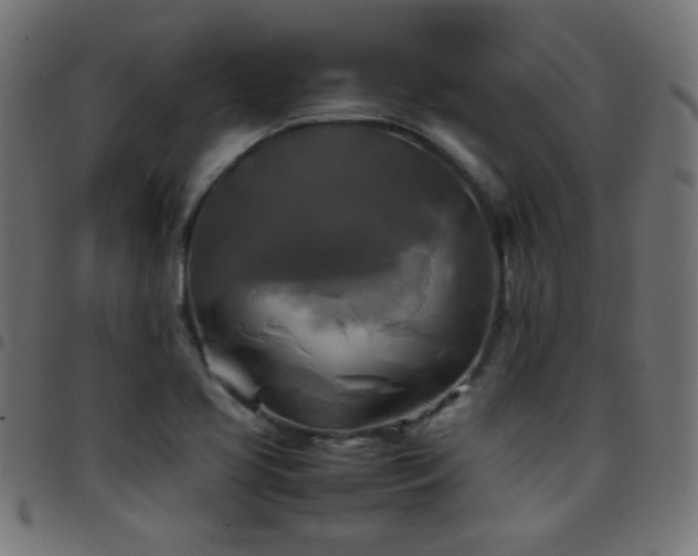 X0000097781413200803071339