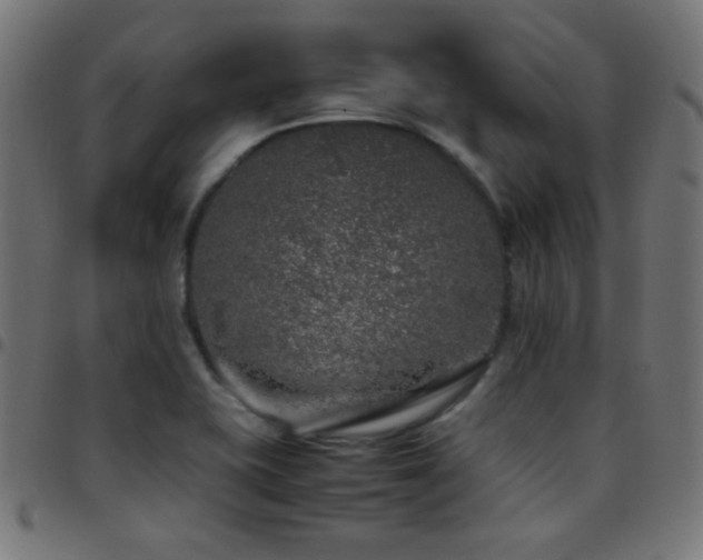 X0000097781415200803071339
