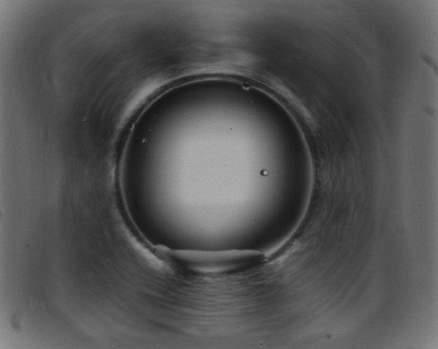 X0000097781416200803071339