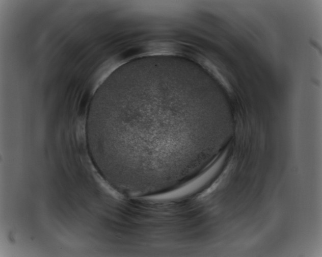 X0000097781417200803071339