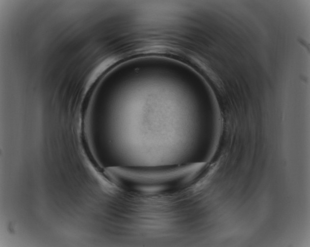 X0000097781418200803071339