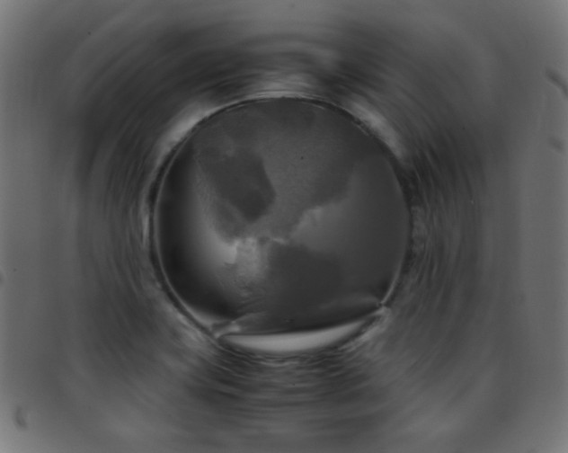 X0000097781419200803071339