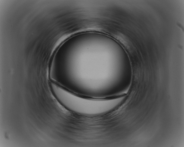 X0000097781420200803071339