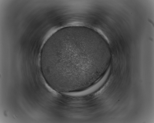 X0000097781421200803071339