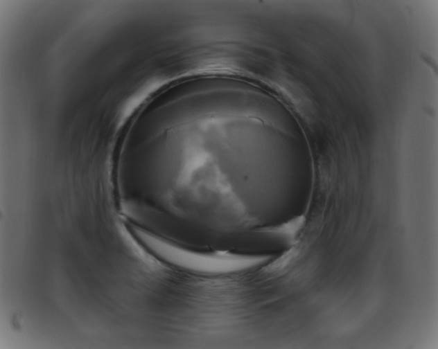 X0000097781422200803071339