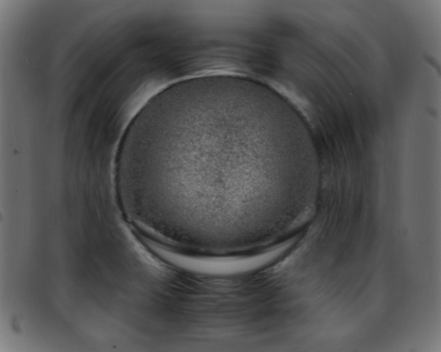 X0000097781423200803071339