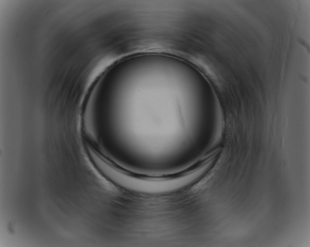 X0000097781424200803071339