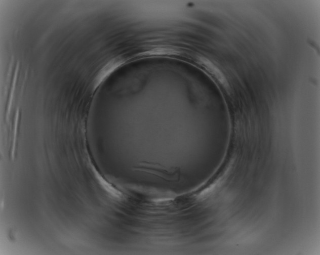 X0000097781425200803071339