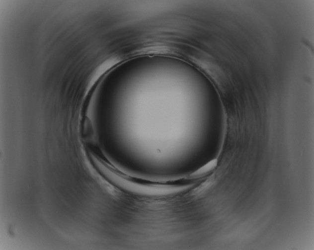 X0000097781426200803071339