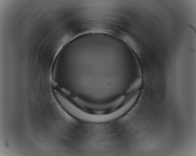 X0000097781428200803071339