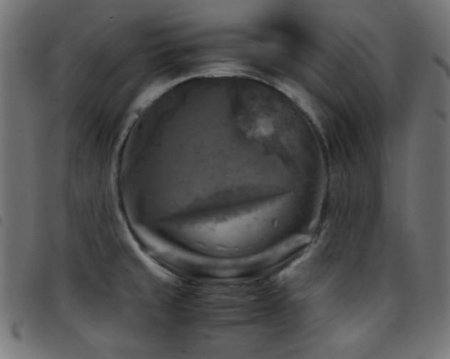 X0000097781429200803071339