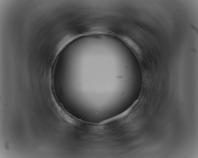 X0000097781431200803071339