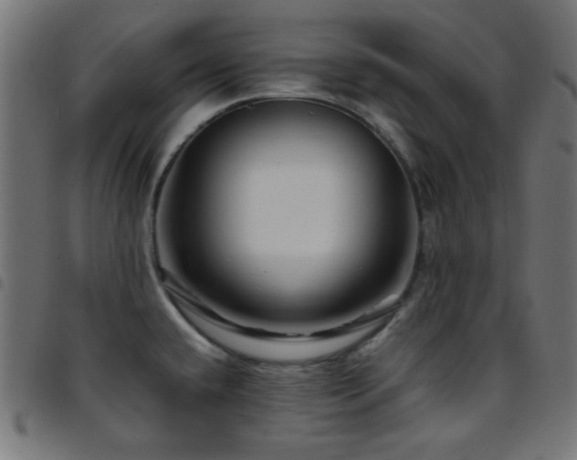 X0000097781432200803071339