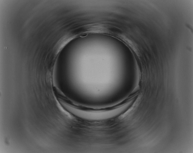 X0000097781433200803071339