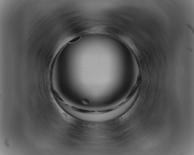 X0000097781434200803071339