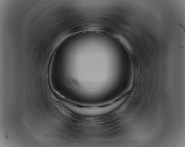 X0000097781435200803071339