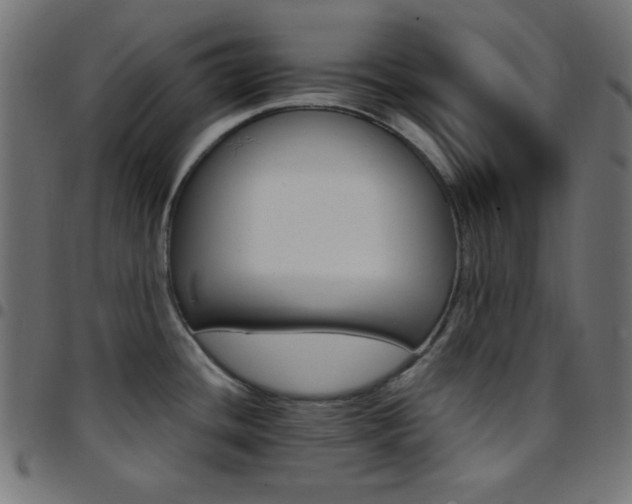 X0000097781436200803071339