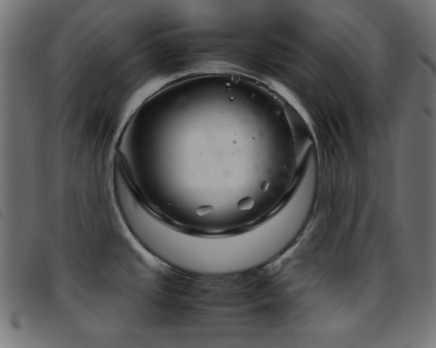 X0000097781437200803071339