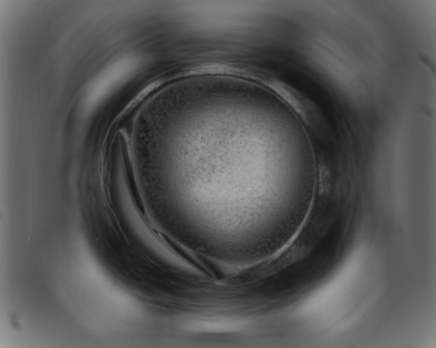 X0000097781438200803071339