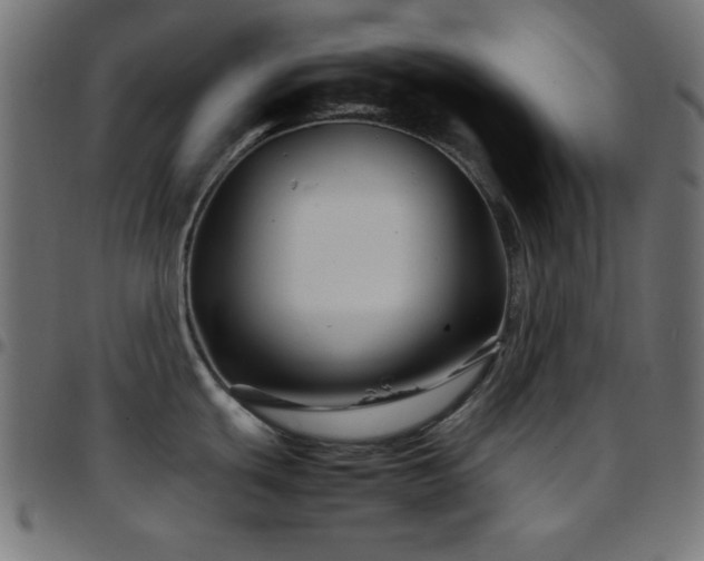 X0000097781439200803071339