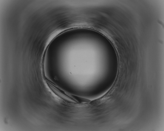 X0000097781440200803071340