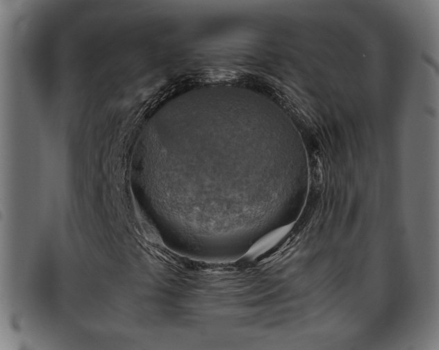 X0000097781441200803071339