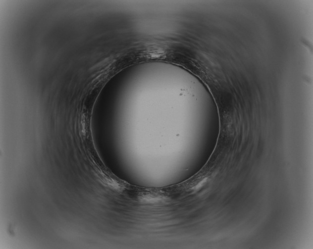 X0000097781442200803071339