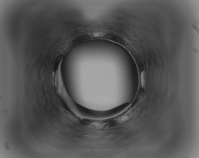 X0000097781443200803071339