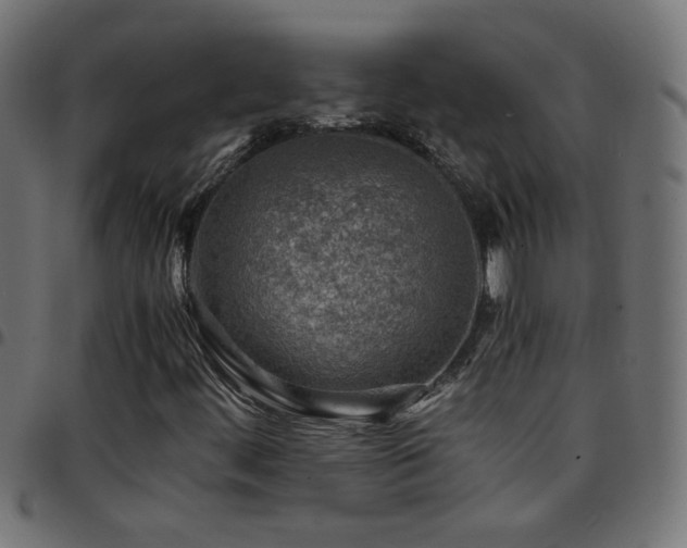 X0000097781444200803071339