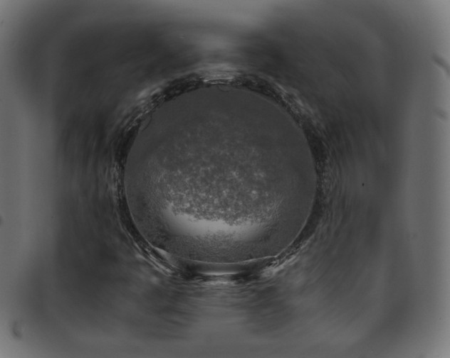 X0000097781445200803071339