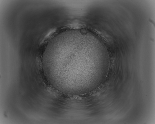 X0000097781446200803071339