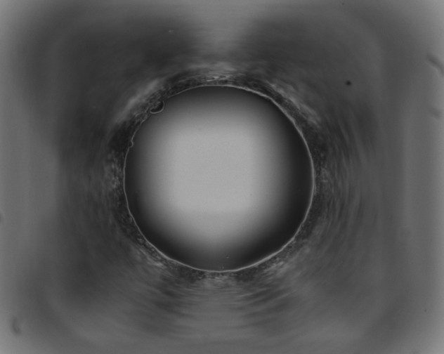 X0000097781447200803071339