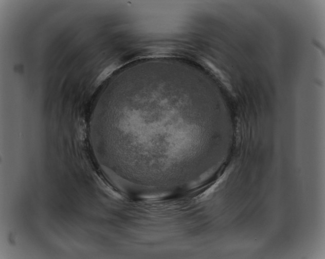 X0000097781449200803071339