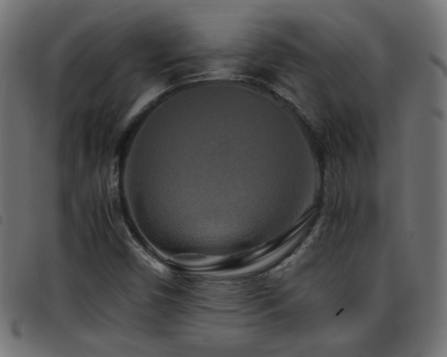 X0000097781450200803071339