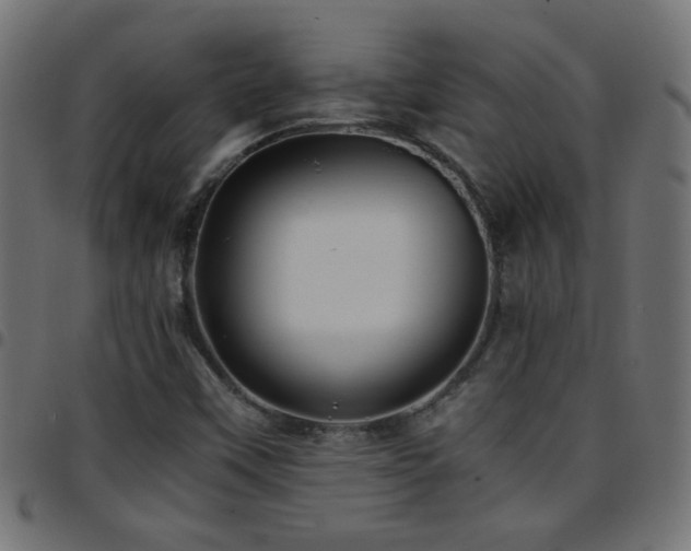 X0000097781451200803071339