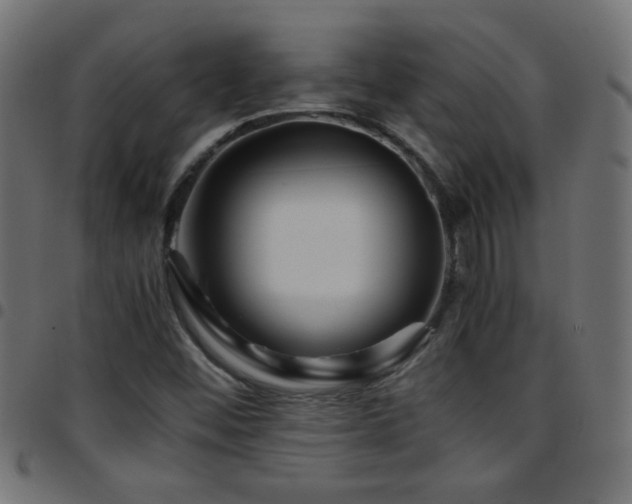 X0000097781452200803071339