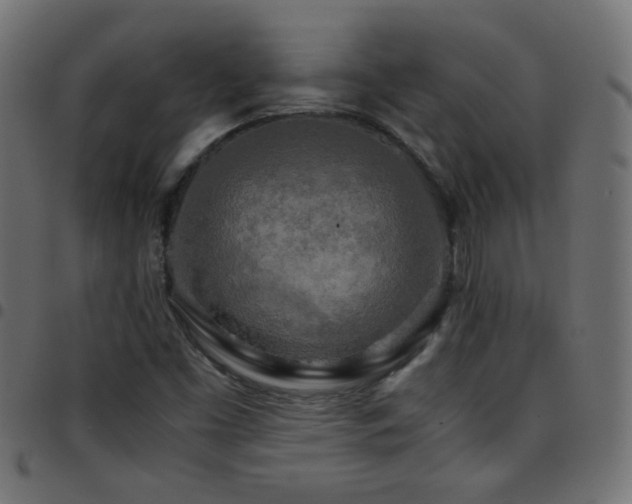 X0000097781453200803071339