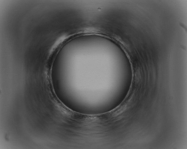 X0000097781454200803071339