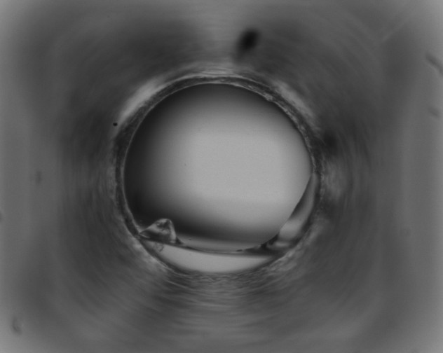 X0000097781456200803071338
