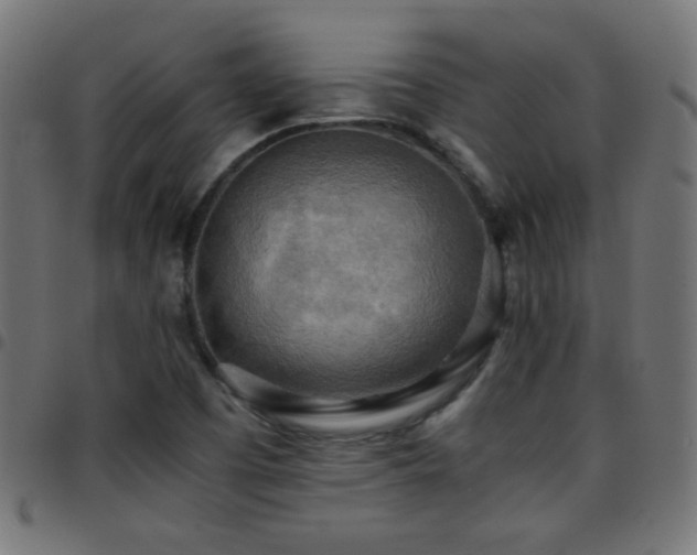 X0000097781457200803071338