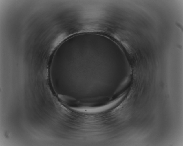 X0000097781459200803071338