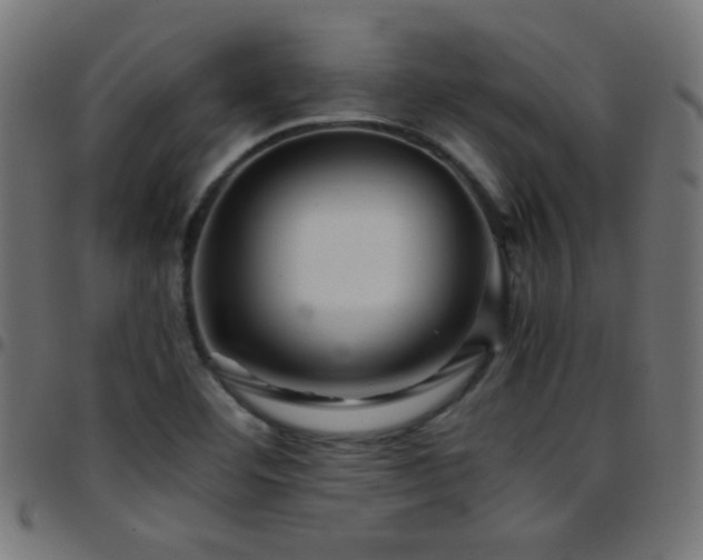 X0000097781460200803071338