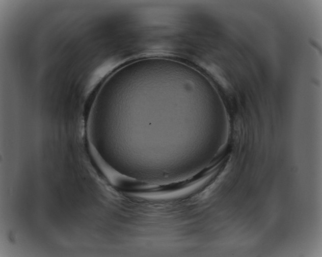 X0000097781461200803071338
